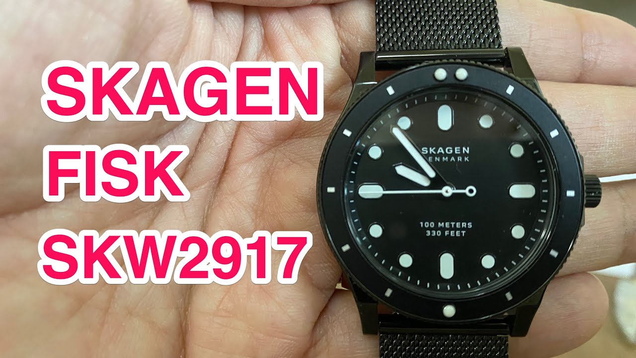 スカーゲンFISK クォーツ腕時計 アナログ腕時計 SKAGEN SKW6617 42mm