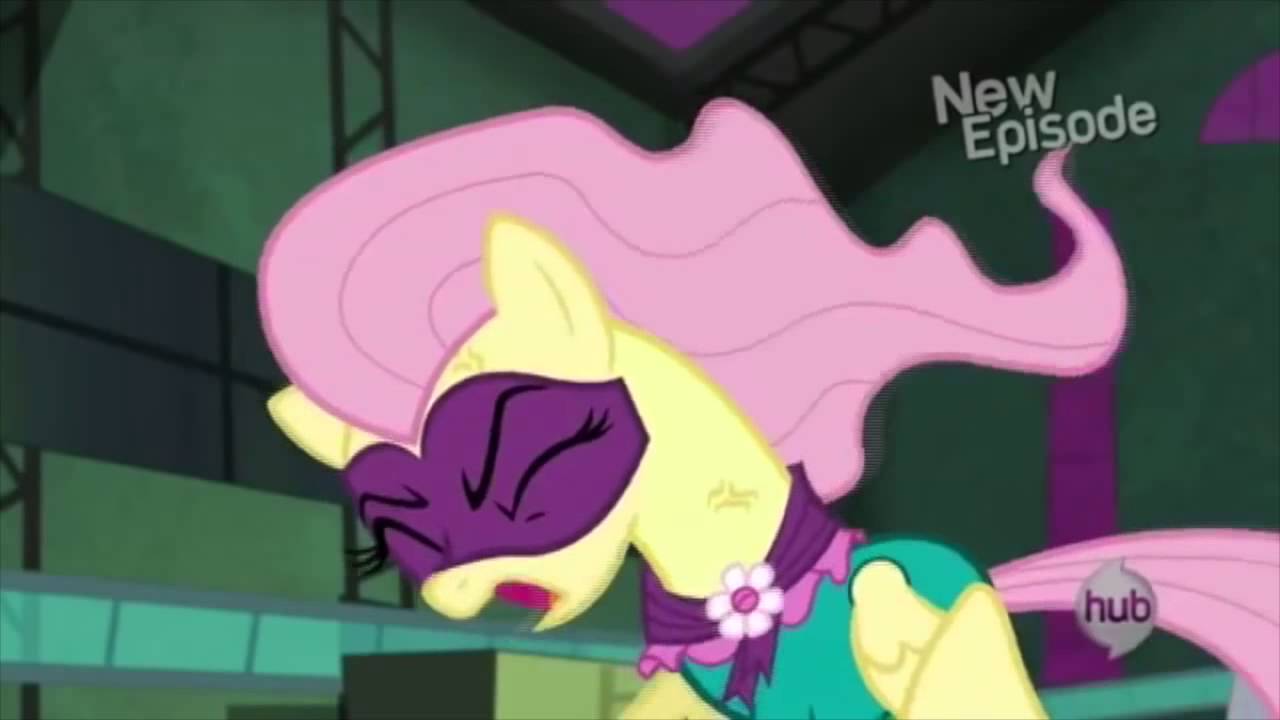 Fluttershy Rant
