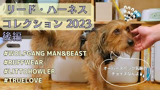【リード・ハーネスコレクション２０２３】愛犬と楽しくお散歩したくて買い集めたらこうなりました・後編