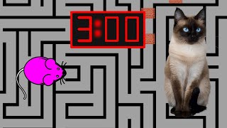 3 Minute Timer [MOUSE MAZE]