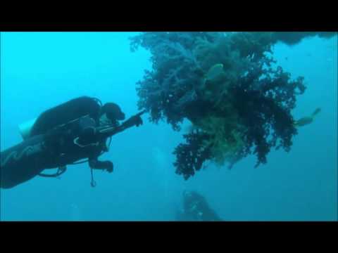 scuba diving -