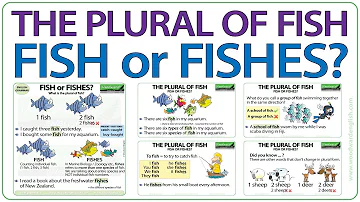 Comment on dit poisson au pluriel en anglais ?