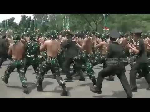 Stroy wa TNI yel yel tni mau jadi Bintara keren