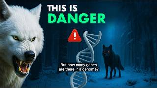 The Dire Wolf Returns After 13,000 Years – De-Extinction Breakthrough