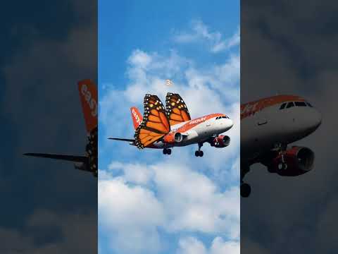 if you don't know which one is real, just wing it x #easyJet #aviation #a320