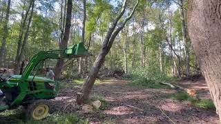 Cutting And Pushing Trees