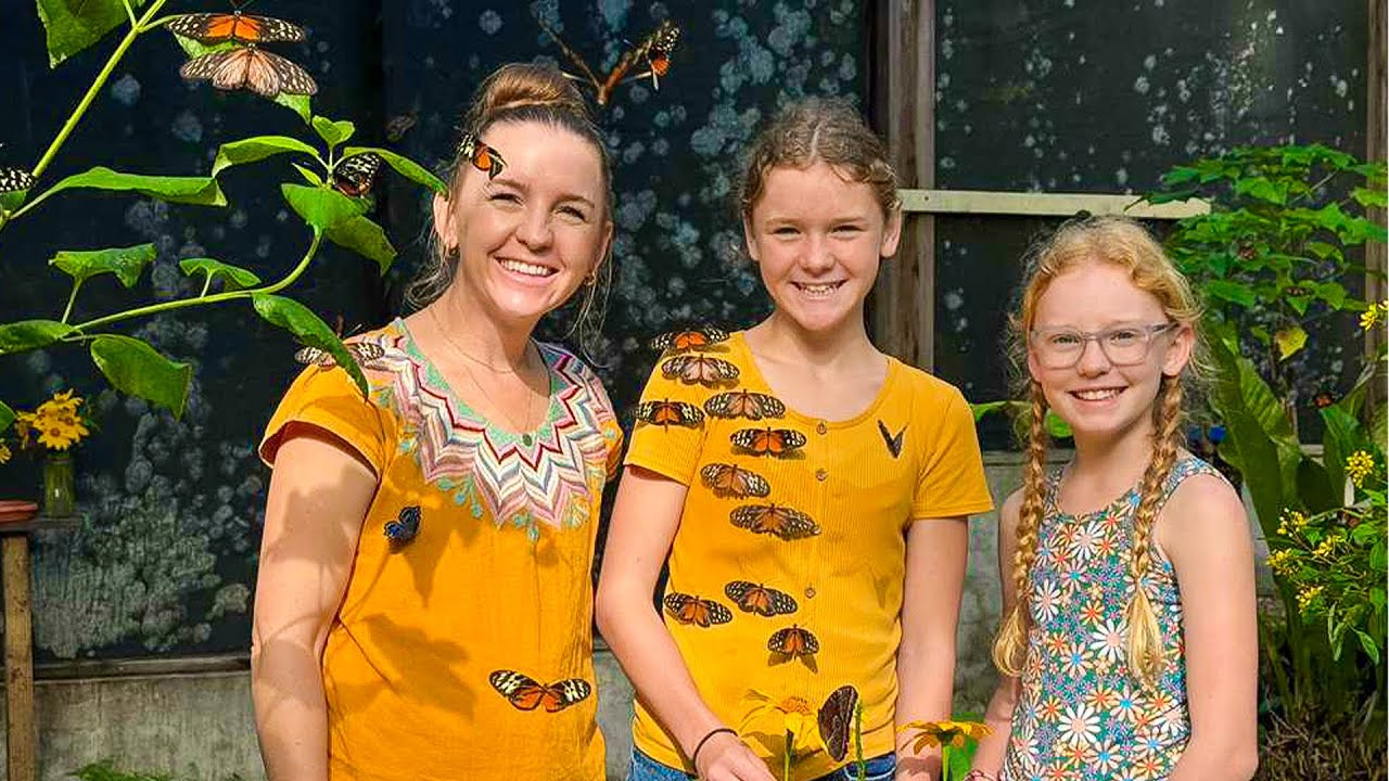 We Visited a Butterfly Farm in Belize and Saw the Life Cycle Up Close
