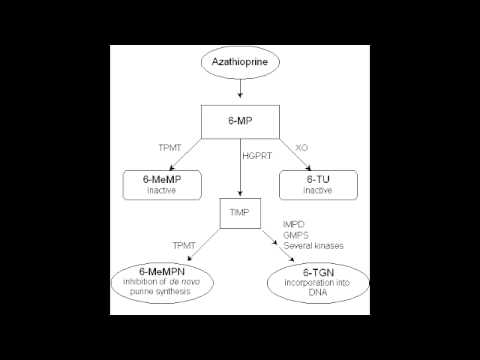 Imuran Side Effects Lupus