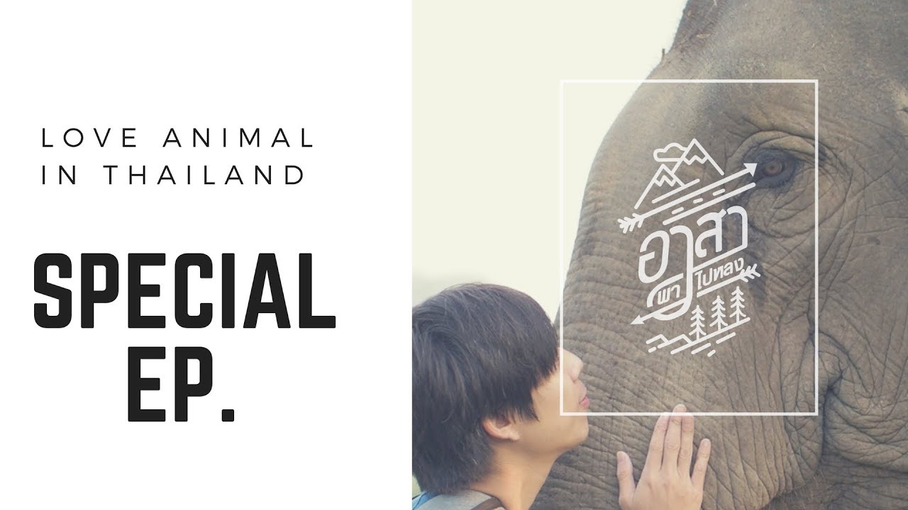"คุณช้างที่ Chiangrai" [อาสาพาไปหลง รักสัตว์] Special EP.
