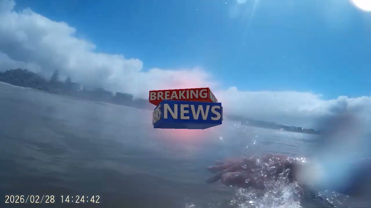 Saturday    feburary26 Medium