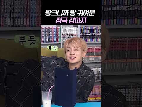 왕 크니까 왕 귀여운 <strong>정국</strong> 강아지