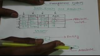 Data Entity & Attribute | Concepts of Database | HSC ICT Bangla Tutorial