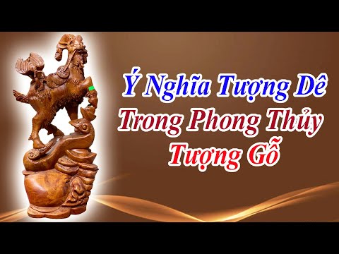 Video: Cử chỉ 