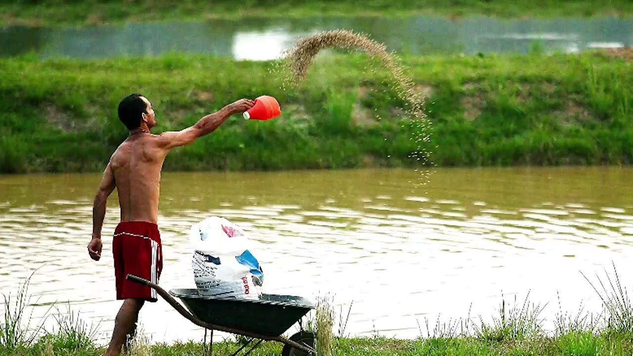 Matéria Orlando Pessuti - 22 de março/2026