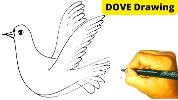 Dove Drawing Easy #dove #drawing #draw #easydrawing #art #kidsdrawing