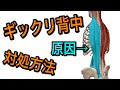 【背中　痛み】寝てるだけで背中の痛みを取る1つの方法　【熊谷市　整体院枇杷-Biwa-】