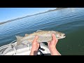 Lake brown trout catch and cook!