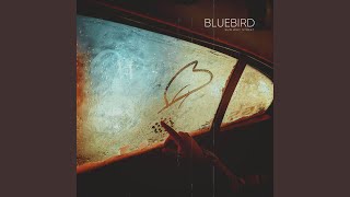 Download lagu Bluebird