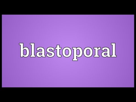 Header of blastoporal