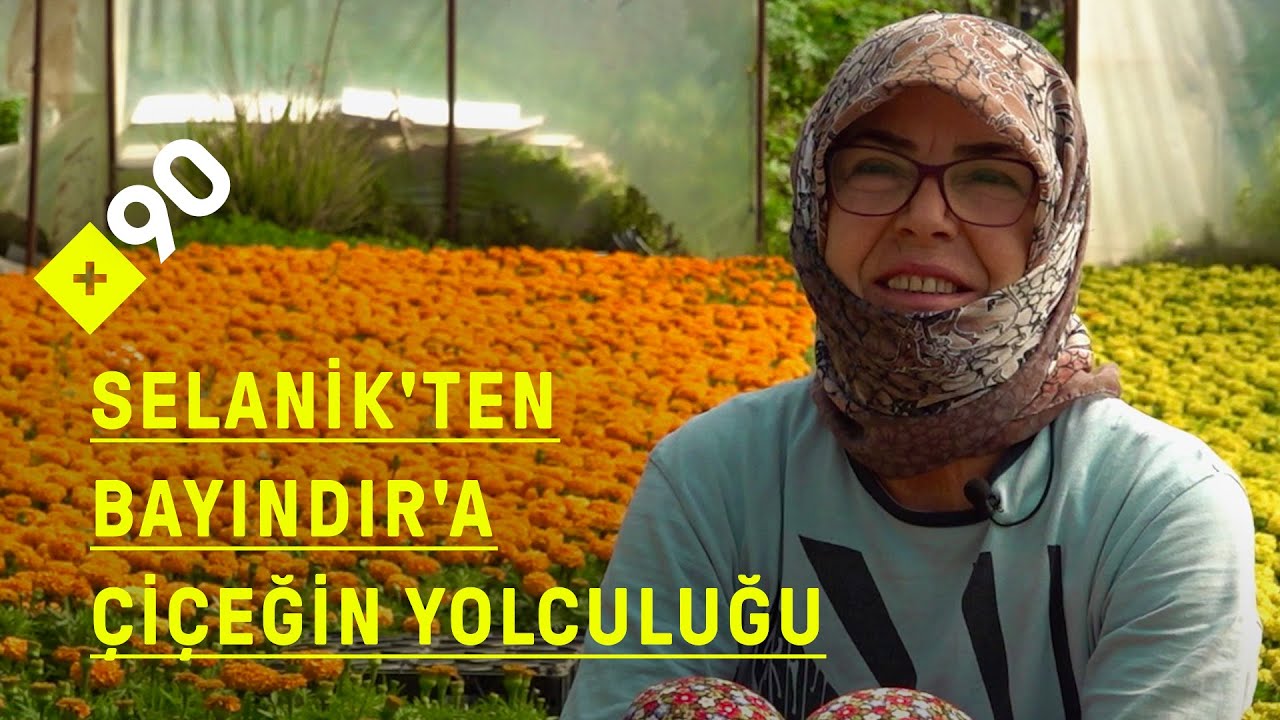 Çiçeğin başkenti Bayındır: 