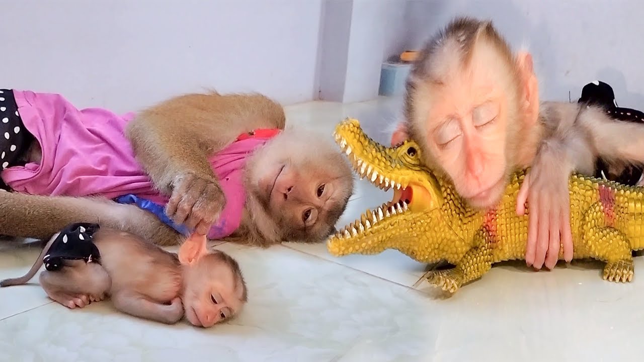 SokYaa CARING  Sokhaa BABY ANIMALS vs TOY CROCODILE - FEARLESS BABIES!