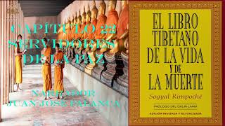 CAPÍTULO 4 - AUDIOLIBRO - EL LIBRO TIBETANO DE LA VIDA Y LA MUERTE