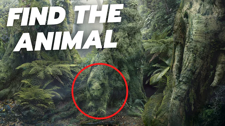 Can you find all the hidden animals? - QUIZ - DayDayNews