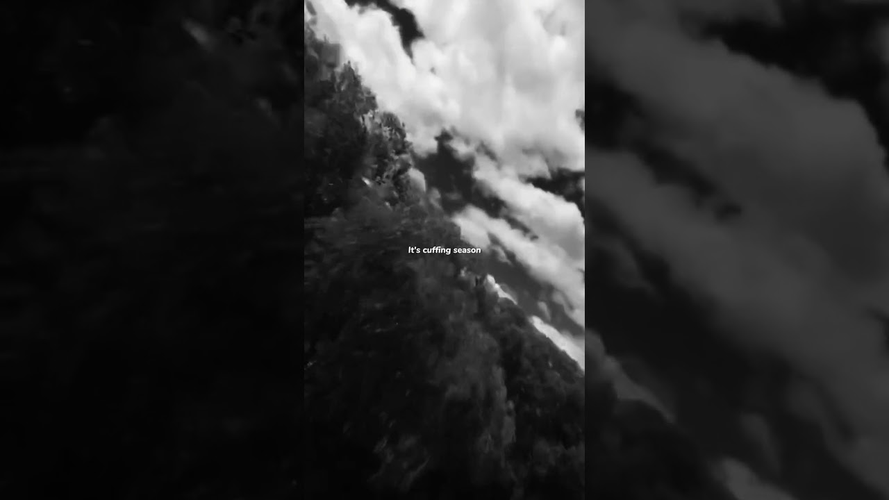 SZA - Big Boy (Lyrics) | "It's cuffing season I need a big boy, I want a big boy" | Aesthetic 