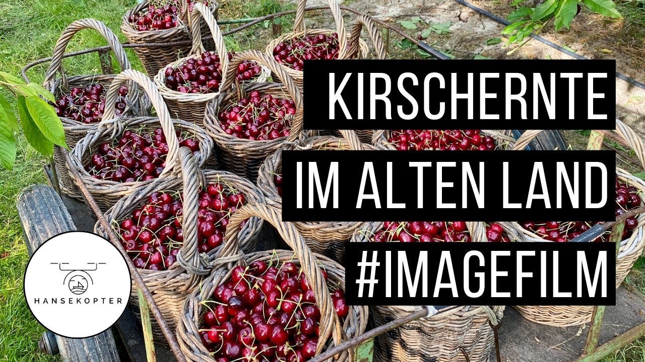 Imagefilm Kirschernte Altes Land Obsthof Schuback | Hansekopter