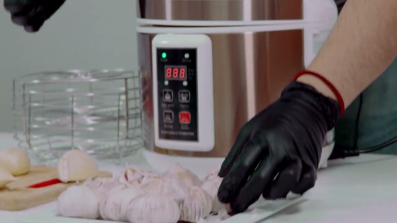 Como usar el Fermentador de Ajos IKAI 115