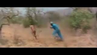 Cocofun STORY WA QUOTES 30 DETIK TERBARU Ngakak Dan Baper Video Cocofu 37