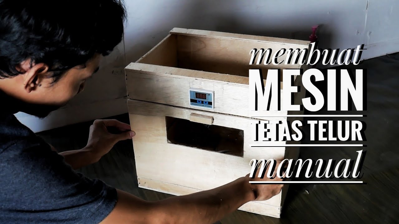 Membuat Mesin Tetas Manual Kapasitas 30 Butir