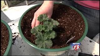20 Gardening Tips: Testing Soil