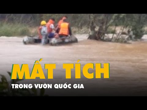 Video 2 người mất tích trong vườn quốc gia Bidoup Núi Bà,... - youtube