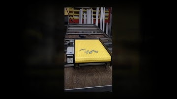 Variable Speed Conveyor - From SmartMove® Conveyors