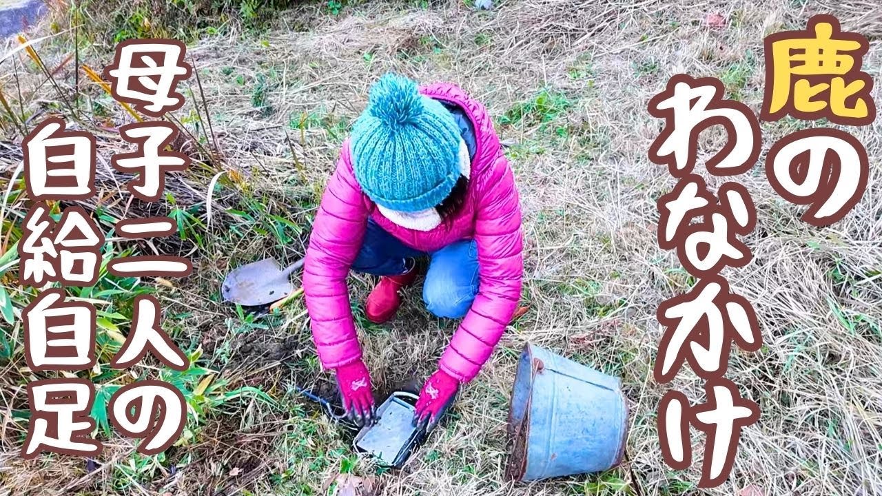 わな猟女子/実践！くくり罠/自給自足生活/田舎暮らし/母子二人のジビエ生活/狩猟