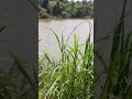 Mostrando a repressa