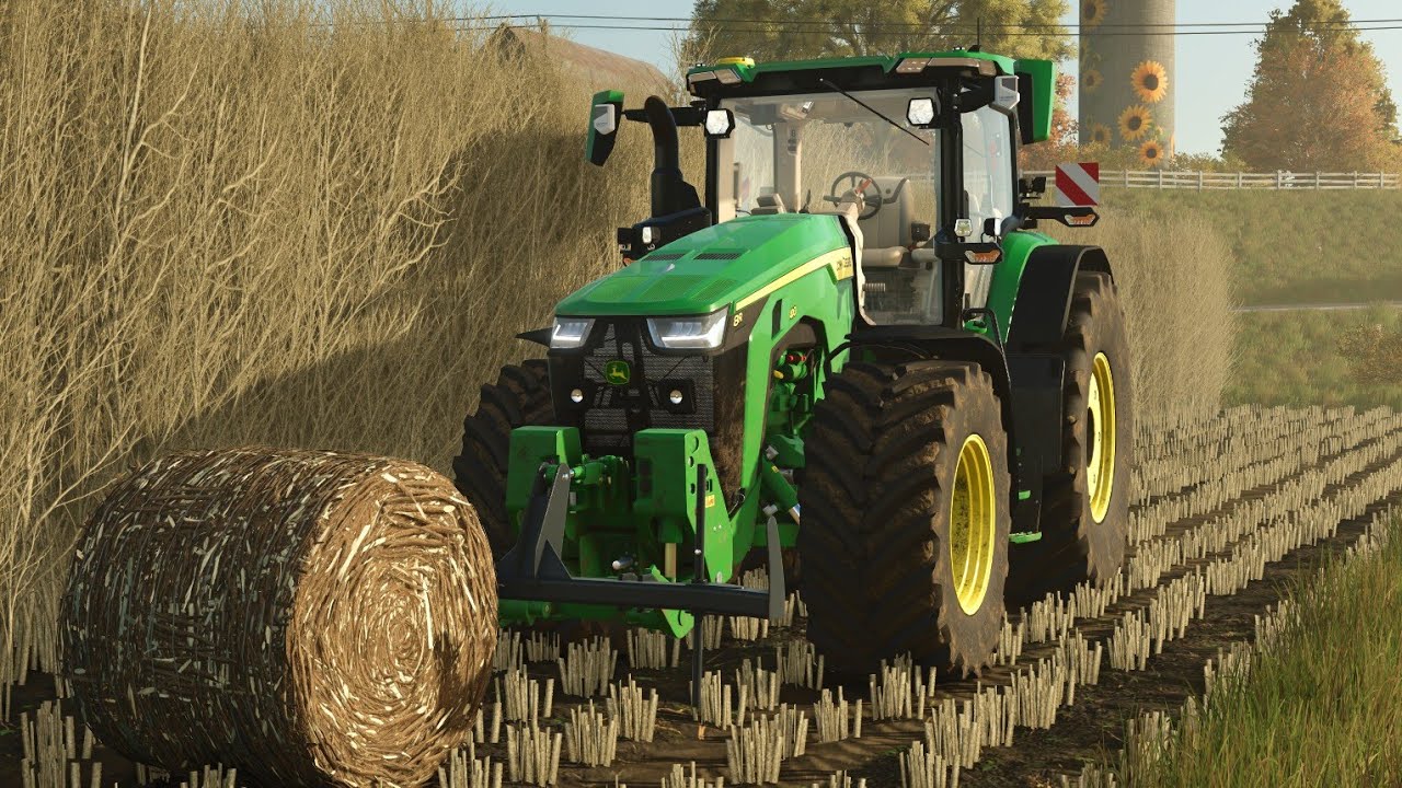 Topola energetyczna w bele- dobry biznes ?