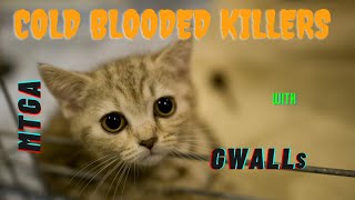 MTGA Cold Blooded Killers! Prefab Deck does some work! Daily News, Jokes, and MTG of course!