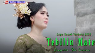 LAGU SASAK TERBARU 2022 ~ TEBILIN MATE ~ ERNY AYUNINGSIH ~KARYA BICI JEROWARU ~MIRU PRODUCTION