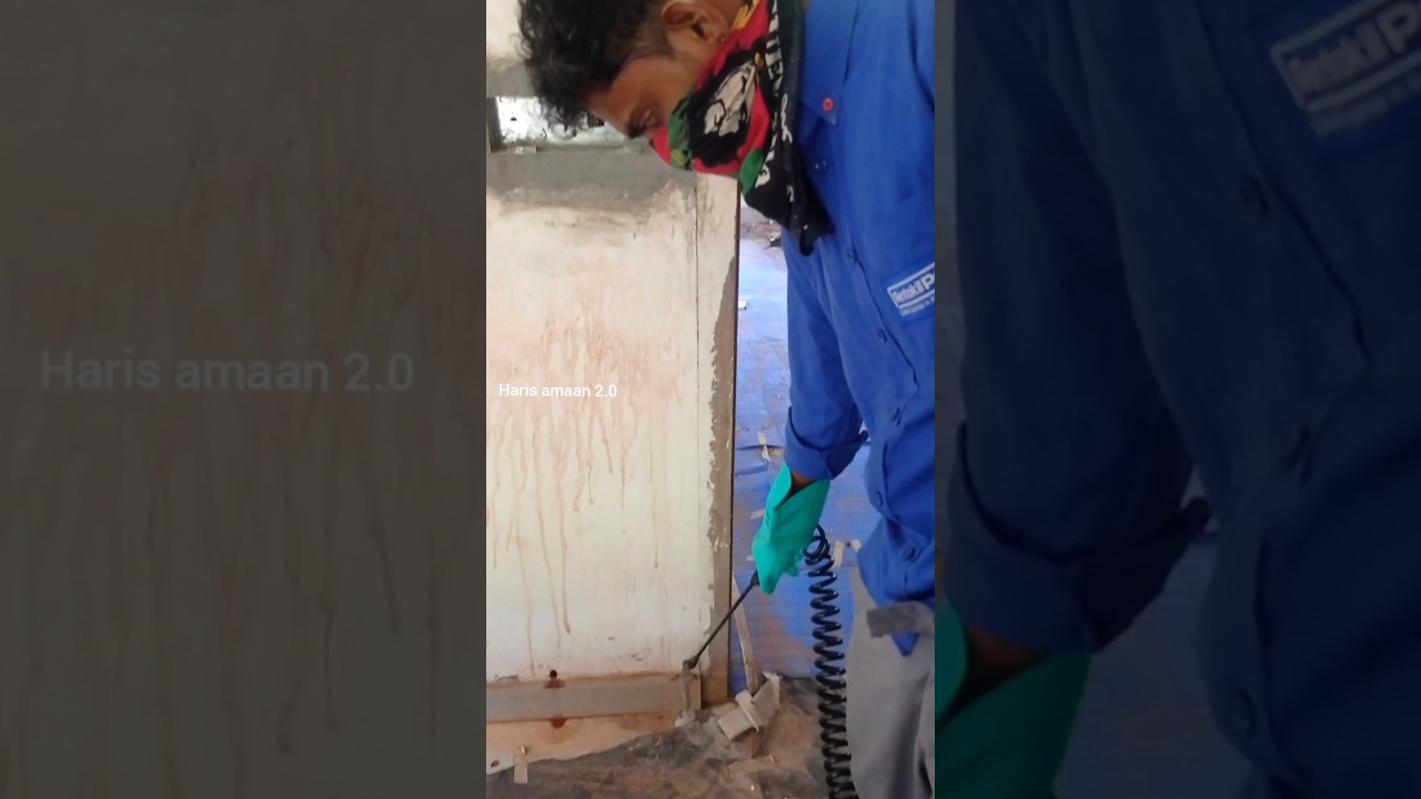 🤷ചെതല് ശല്യം ഒഴിവാക്കാം