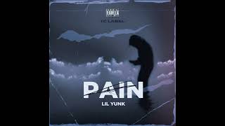 Lil Pierre - Pain (Prod. @prodtaigen x Tinna) Official Audio [Slowed + Reeverb]