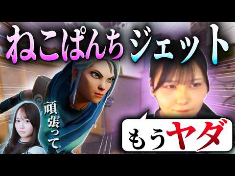 ねこぱんち - YouTube