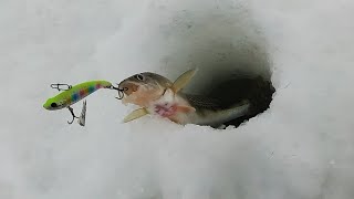 Рыбалка на реке Кама Татарстан Ловля на раттлины зимой 