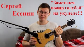 Заметался пожар голубой на укулеле. Сергей Есенин. Смотреть всем. Очень круто Заметался пожар голубой на укулеле. Сергей Есенин. Смотреть всем. Очень круто