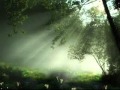 Why are we here for 2/3 By Abu Uwais Abdullah Alee Why are we here for 2/3 By Abu Uwais Abdullah Alee