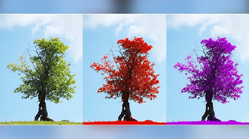 Thay đổi màu trong photoshop | Nguyễn Ngọc Trung