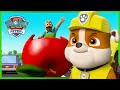 Pups Save Mr. Porter’s Fruit Stand | PAW Patrol Episode | Cartoons for Kids