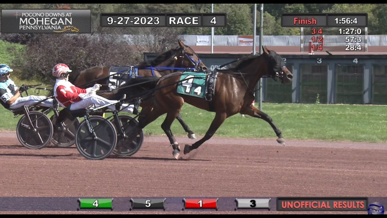 2 year old star attraction george napolitano jr svanstedt stable wins