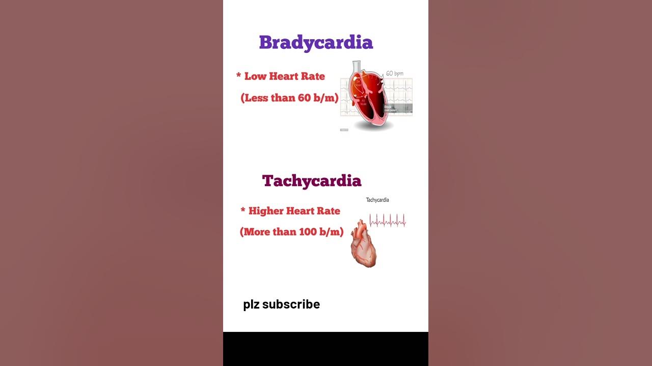 medical-terminology-bradycardia-tachycardia-medical-terms-youtube